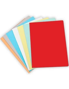 GIO SUBCARPETA SIMPLE CARTULINA A4 180GR ROJO PASTEL -PACK DE 50U-
