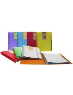 GRAFOPLÁS CARPETA 50 FUNDAS ESPIRAL A4 EXTRAÍBLES CALIDAD EXTRA 5 SEPARADORES PP TRANSLÚCIDO RÍGIDO IN & OUT NEGRO