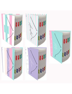 MARIOLA CARPETA FUELLE ACORDEÓN 12 CGOMA FOLIO CARTÓN FORRADO PLASTIFICADO DISEÑOS SURTIDOS