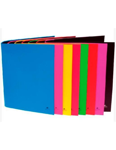 CARPETA de ANILLAS MARIOLA CARTON FORRADO PLASTIFICADO F 4 an 25mm SURTIDO