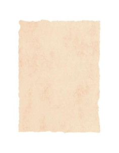 MICHEL PERGAMINO TROQUELADO 200GR A4 PACK 25U BEIGE