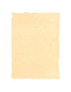 MICHEL PERGAMINO TROQUELADO 160GR A4 PACK 25U CREMA