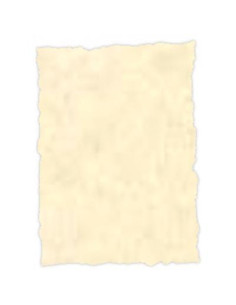 MICHEL PERGAMINO TROQUELADO 150GR A4 PACK 25U TOPACIO