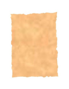 MICHEL PERGAMINO TROQUELADO 150GR A4 PACK 25U OCRE