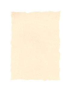 MICHEL PERGAMINO TROQUELADO 125GR A4 PACK 25U PIEL ELEFANTE HUESO