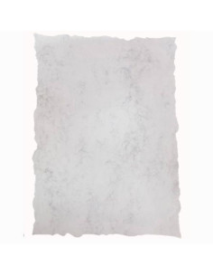 MICHEL PERGAMINO TROQUELADO 200GR A5 GRIS MARMOL -25UD-