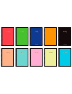 PACSA CUADERNO PLASTIPAC SERIE LUX 80H FOLIO 100GR 4X4MM TAPA PP CSURTIDOS VIVOSPASTEL