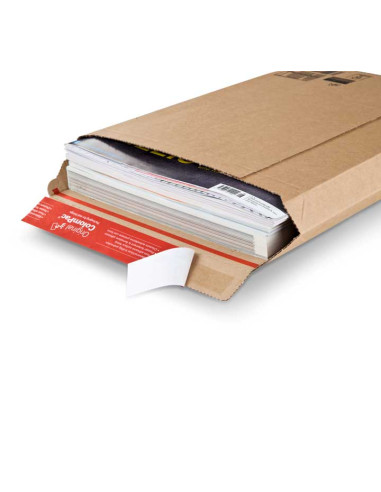 CAJA 100 BOLSAS CARTÓN 310x229mm