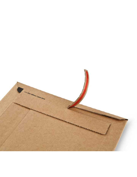 CAJA 100 BOLSAS CARTÓN 310x229mm