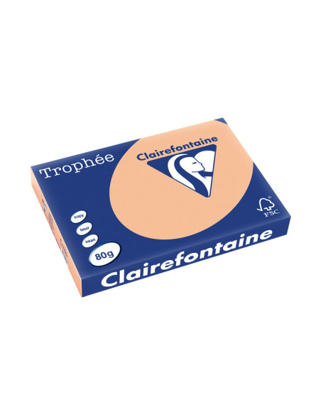 PAQUETE 500h PAPEL TROPHÉE CLAIREFONTAINE A3 PASTEL