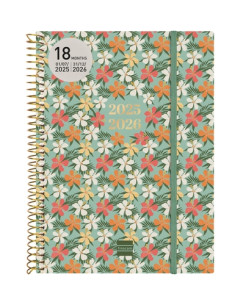 AGENDA ANUAL 2025-26 FINOCAM 18 MESES INTERNACIONAL ESPIRAL tapa PP SV APAIS E10 155x212 con GOMA DAISY