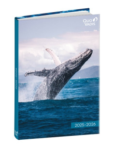 AGENDA ESCOLAR 2025-26 QUO VADIS EUROTEXTAGENDA  AMIGOS BALLENA 12x17cm DP