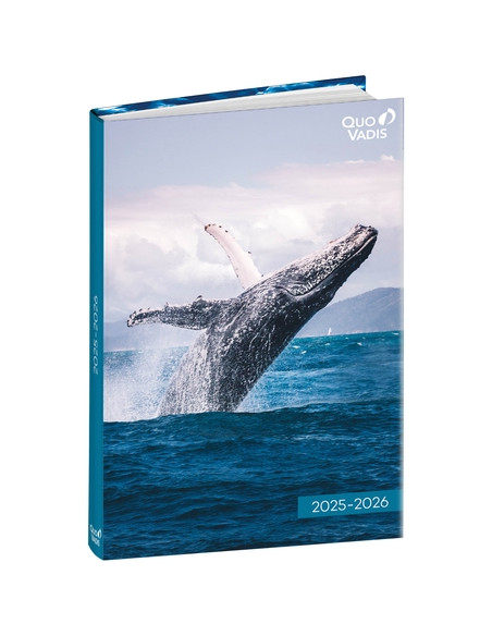AGENDA ESCOLAR 2025-26 QUO VADIS EUROTEXTAGENDA  AMIGOS BALLENA 12x17cm DP