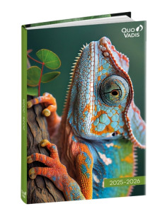 AGENDA ESCOLAR 2025-26 QUO VADIS EUROTEXTAGENDA  AMIGOS CAMALEON 12x17cm DP