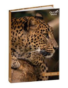AGENDA ESCOLAR 2025-26 QUO VADIS EUROTEXTAGENDA  AMIGOS LEOPARDO 12x17cm DP