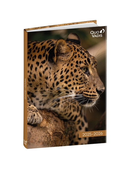 AGENDA ESCOLAR 2025-26 QUO VADIS EUROTEXTAGENDA  AMIGOS LEOPARDO 12x17cm DP