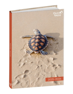 AGENDA ESCOLAR 2025-26 QUO VADIS EUROTEXTAGENDA  AMIGOS TORTUGA 12x17cm DP