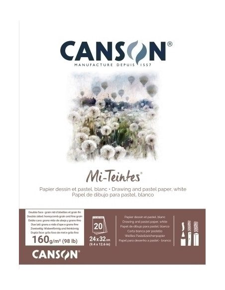 BLOC DE DIBUJO CANSON MI-TEINTES ENCOLADO BLANCO 320x410 mm 160g 20h