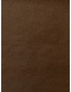 BOLSA de PAPEL BOTELLA TV CELULOSA 14x9x36 cm DISEÑO PAQUETE de 25