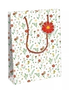 BOLSA de PAPEL CLAIREFONTAINE EXCELLIA DECORADO CASAS 33x27x14cm AMOR PACK DE 6