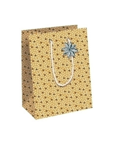 BOLSA de PAPEL CLAIREFONTAINE KRAFT DECORADO 25x22x10 cm CITRICOS NAVIDAD PACK DE 6