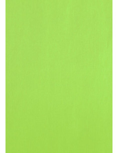 BOLSA de PAPEL TV ASA TROQUELADA CELULOSA 24x4010 cm PISTACHO PAQUETE de 25