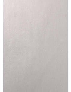 BOLSA de PAPEL TV ASA TROQUELADA CELULOSA 24x4010 cm PLATA PAQUETE de 25