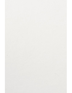 BOLSA de PAPEL TV ASA TROQUELADA CELULOSA 31x477 cm BLANCO PAQUETE de 25