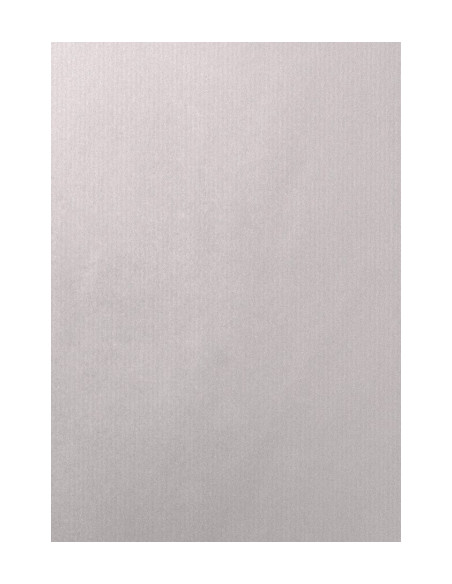 BOLSA de PAPEL TV ASA TROQUELADA CELULOSA 31x477 cm PLATA PAQUETE de 25