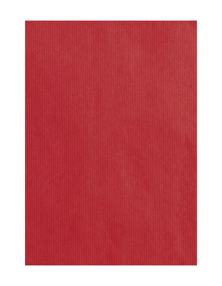 BOLSA de PAPEL TV ASA TROQUELADA KRAFT 24x4010 cm ROJO PAQUETE de 25