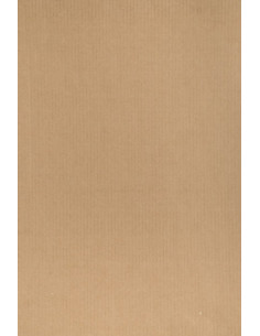 BOLSA de PAPEL TV ASA TROQUELADA KRAFT 31x477 cm KRAFT MARRON PAQUETE de 25