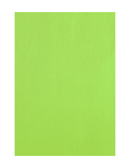 BOLSA de PAPEL TV CELULOSA 18x10x23 cm PISTACHO PAQUETE de 25