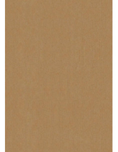 BOLSA de PAPEL TV KRAFT 14x9x36 cm KRAFT MARRON ANONIMO PAQUETE de 25