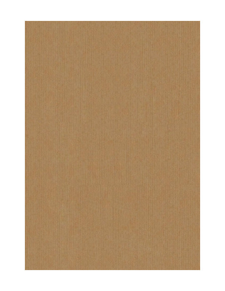 BOLSA de PAPEL TV KRAFT 14x9x36 cm KRAFT MARRON ANONIMO PAQUETE de 25