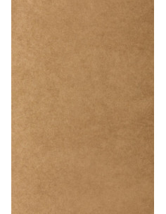 BOLSA de PAPEL TV KRAFT 22x11x32 cm KRAFT RECICLADO ANONIMO PAQUETE de 25