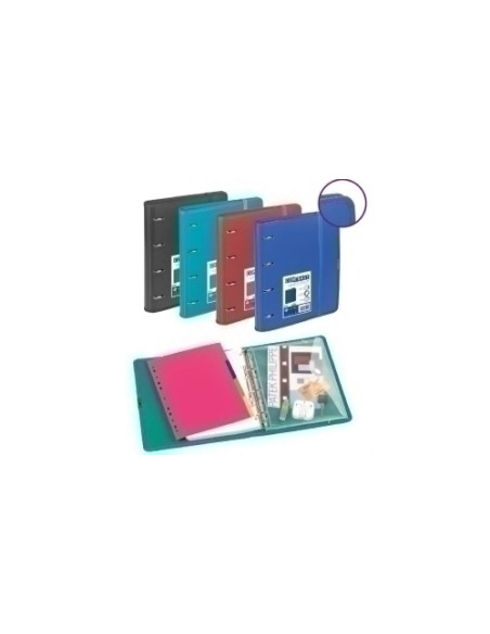 CARPEBLOC CARCHIVO CONTRAST-OPAC PP RIBETE A4 4 anMIXTAS 35mm con REC 120 hj CUADRIC4x4 SURTIDO 4 col