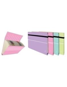 CARPETA CLASIFICADORA MARIOLA CARTON PLASTIF F 12 DPTOSGOMAS COLORES PASTEL EXPOSITOR de 20