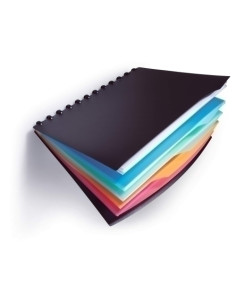 CARPETA FUNDAS TARIFARIO DURALOOK STY PP A4 20 F  4 SEPARARADORES EN COLOR SURTIDO