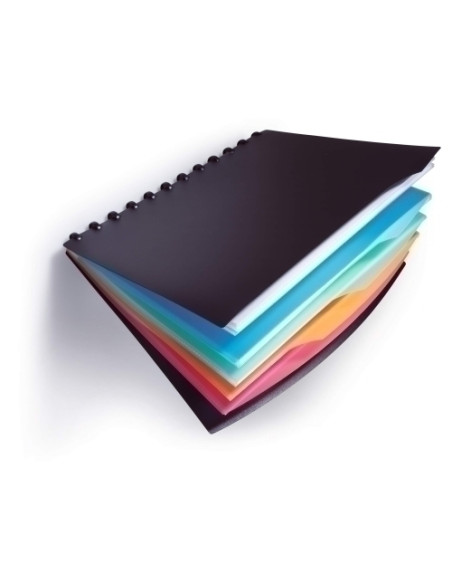 CARPETA FUNDAS TARIFARIO DURALOOK STY PP A4 20 F  4 SEPARARADORES EN COLOR SURTIDO