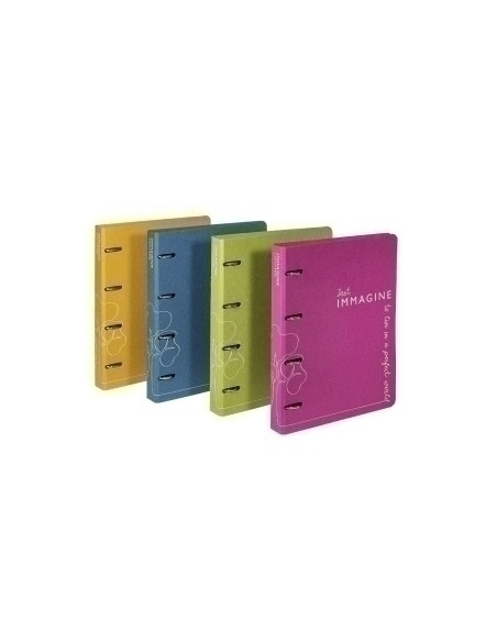 CARPETA de ANILLAS CARCHIVO IMMAGINE CARTON RECICLADO A4 2 anMIXTAS 25mm SURTIDO