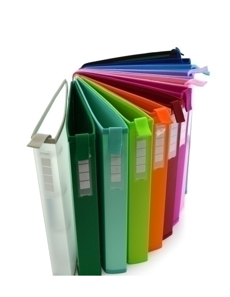 CARPETA de ANILLAS COLORLINE PP A4 4 an40 mm CON TARJETERO