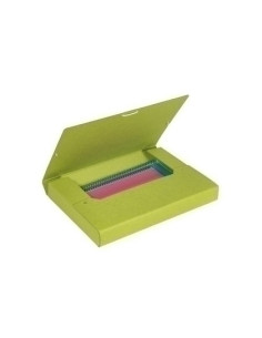 CARPETA de PROYECTOS CARCHIVO IMMAGINE CARTON RECICLADO A4 GOMAS  4 cm VERDE