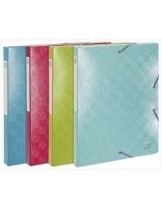 CARPETA de PROYECTOS EXACOMPTA 1928 CARTULINA LUSTRADA A4 GOMAS 25 cm SURTIDO 4 col