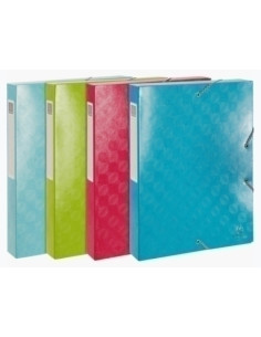 CARPETA de PROYECTOS EXACOMPTA 1928 CARTULINA LUSTRADA A4 GOMAS 4 cm SURTIDO 4 col