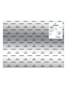CARTULINA METALIZADA 50x65 cm IRIS 280g PLATA PAQUETE de 25