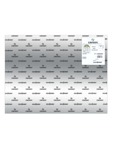 CARTULINA METALIZADA 50x65 cm IRIS 280g PLATA PAQUETE de 25