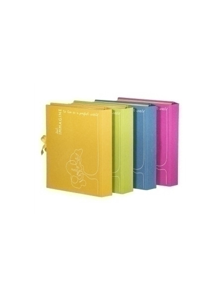 CLASIFICADOR ACORDEON CARCHIVO IMMAGINE CARTON RECICLADO F 17 DPTOSA-Z FUCSIA