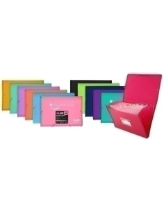 CLASIFICADOR ACORDEON GRAFOPLAS PP SEMIRRIGIDO LIKE 2 OPACO F 13 DPTOSBOLSILLO y GOMA ROSA CLARO