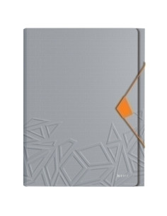 CLASIFICADOR ACORDEON LEITZ URBAN CHIC PP A4 6 SEPARAD GRIS