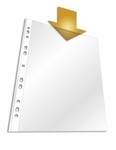 FUNDA MULTITALADRO DURABLE STANDARD PP A4 BOLSA de 100